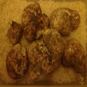 Truffe - champignon levure bonjour .   j'habite  ville truskavets,  lviv region, west ukraine. je vais dans les bois choisir  des champignons. je sais où il ya   trufel blanc.  je veux vendre trufel blanc.     maintenant plusieurs pièces. poids total des 1500 grammes. cherchez et trouvez regulière. cherchant un chiffre d'affair