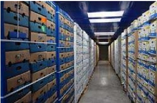  Cherche Frigo Louer Pour Banane Prés De Sousse - matériels machines nous somme une société import & export tunisienne , siège en sousse .., ont est besoin de louer un frigo (minum continaire 20 tonne /semaine).., nos produit concerne les fruit fraîs .., ---condition -le frigo doit posé au sousse ou prés ..(monastir;el djem...)---