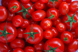  Classe 'a' Tomate - fruits et légumes nous sommes leader mondial fabricant et fournisseur de grade « a » tomate,  qui est d'une très haute qualité marchande avec le grade « a » et de spécification certifiés et de produits de qualité,  nos produits sont disponibles et prets pour le marché national 
