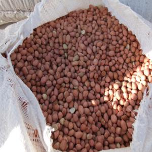  Sesame, Céréales Et Noix De Karité Bien Sec - fruits secs et graines grillées bonjour je suis un revendeur de céréales,  fruits secs et graine grippée au burkina faso. je dispose d'un stock 173 tonnes de ces produits à ouagadougou et plus précisément à sankariare. j'ai décidé déstocker ce stock à des 