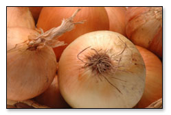  Oignons (sacs 25 Kg) Par Conteneur - fruits et légumes oignons de consommation recolte 2014,  --variete oignons jaunes origine europe,  calibre 40-60 mm,  --conditionnement par sacs filet poly 25kg sur palette.----quantite minimum - 20 palettes x 55 sacs x 25 kg = 27.5 tonnes par conteneur frigorifique----prix par sac de 25 kg ---- 16 € cfr dakar,  abidjan, 
