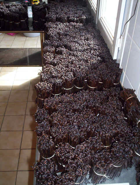  Merveilles De Madagascar - épices aromates bonjour,  --en attente de label agriculture biologique, --nous proposons en provenance directe exploitant de madagascar vanille,  poivre,  baies roses,  cacao,  caf&eacute; robusta,  maïs,  arachides,  litchees,  extraits & huiles essencielles