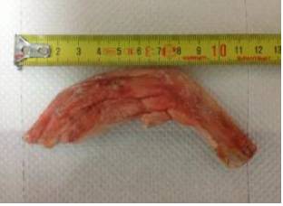  Recherche De Ailes/pattes Canard/poulet Congelés - viandes et oeufs recherche de fournisseurs dont les activit&eacute;s sont centr&eacute;es sur l &eacute;levage et l'abattage de volailles,  qui peut assurer la fourniture des produits congel&eacute;s suivants - les ailes de canard,  les pattes de canard,  les pattes de poulet et les ailes de poulet pour l export en asi