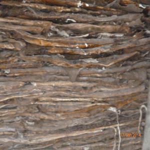  Peaux De Bovins Vaches Moutons Chevres - viandes et oeufs asalamouleikoum nous vous offrons des peaux de vachess ,  moutons etc  meilleur qualite en afrique de l'ouest nus sommes des fournisseur et producteur et cherchons des partnenaires credibes sur maroc et d'autres pays la visite sur dakar est mieux pour les premiers trnsactions  nous travaillons avec d