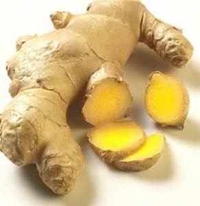  Gingembre Disponible - fruits et légumes nous disposons d énorme quantité de gingembre disponible en toute saison de l'année. nous recherchons des clients sérieux pour la commercialisation. merci de nous contacter 