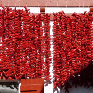  Piment Bec D'oiseau - épices aromates  vous informe de l'ouverture de sa structure à yopougon. nous vous aidons à produire votre plantation de piment en vous donnant un technicien et tout ce dont vous aurez besoin pour votre plantation et nous achetons votre récolte à 2 100 fcfa le kg. 
