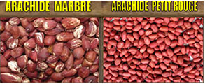  Arachide Petit Rouge Et Arachide Marbre - fruits secs et graines grillées cherche acheteurs serieux pour des arachides petits rouges et arachides marbre.--ce sont des produits de bonnes qualites. prix pas cher.--contactez nous!