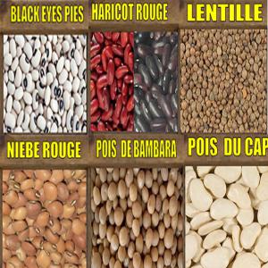  Grains Secs Pas Chers - céréales cherche acheteurs de grains secs---blacks eyes pies, haricots, soja, lentilles, amberiques, --niebes, poids de cap, pois de bambara.--produits de qualites.--contactez nous!