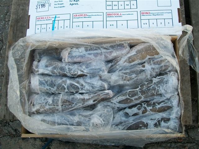  Hake Hubbsi Hgt Seafrozen - fish hake hubbsi hgt seafrozen--production date- august/september 2014--origins- uruguay--800/1200 gm (packing iwp)--