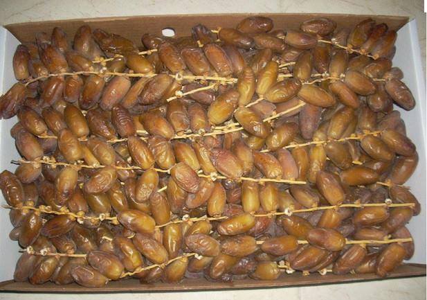  Datte Deglet Nour Algérienne - fruits et légumes nous sommes une société algérienne base en algérie nous vous proposons des dattes deglet nour récolte 2014 1er choit branchée dans 1kg-2kg-5kg et avec des prix très raisonnable plus d informations n’hesitez pas de nous contacter merci