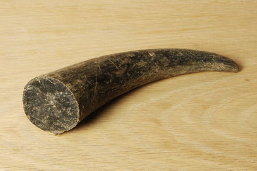  Recherche Pointes De Cornes De Vaches - autres recherche des pointes de cornes de vache pour l'industrie couteli&egrave;re pour faire des manches de couteaux, les pointes de cornes doivent faire environ 15cm de long et etre pleines jusqu'au bout pour pouvoir les exploiter &agrave; 100%,  si vos prix sont comp&eacute;titifs nous pouvons commander j