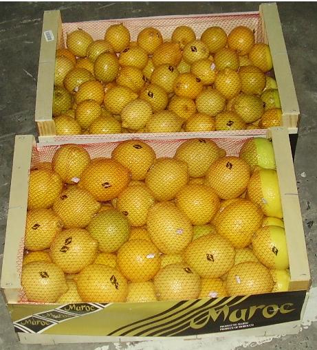  Citrons Jaunes Maroc Qualité Sup - fruits et légumes citrons jaunes,  qualité supérieure,  cat 1 calibre 2.3.4 pour marché ue,  moyen orient ,  russie; possibilité citron en vrac aussi --emballage caisse en bois de 15 kh --prix fob (port agadir maroc) - 1.50 us$ négociable selon quantité 