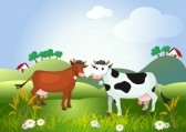  Lait En Poudre - lait et produits laitiers poudre de lait-- 	poudre de lait obtenue par séchage spray à partir de lait entier,  pasteurisé à température moyenne.notre produit (lait en poudre) est apprécié en tant qu'adjuvant précieux dans toutes sortes d'aliments aussi bien du point de v