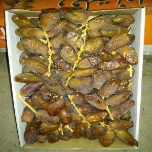  Datte Deglet Nour Algérienne - fruits et légumes bonjour à tous,  je suis un exportateur des dattes deglet nour algérienne  et--je vous propose des dattes -( deglet nour--branchette-dénoyautée-regime-patte des dattes  conditionnées dans--défirent poids - 1kg-2kg......5kg 1er--choix, 100%naturelles,  organique