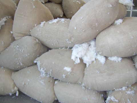  Avis De Vente De Coton Brut Et Partenariat - semence graine plant  transitaire import/export a la pointe de vos ambitions.elle excerce en qualite de commissionnaire en douane.nous sommes une entreprise serieuse qui travaille en collaboration avec de grands planteurs de cacao, cafe et cooperative agricole en cote d'ivoire.nous procedons a un destockage de coton  bru