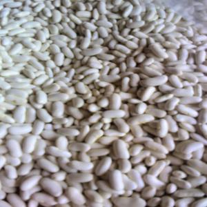  Supplier About Dried Grains - fruits and vegetables we are supplier of different kind of beans from to madagascar,  such as black eyes,  small red bean, white bean, peanut, vanilla, black pepper,  clove, bambara groundnut, coffee, pois de cap, garlic,  cassava, chilli habanero,  if you need one of this product contact us.and let us know your quantity need before b