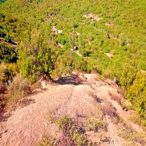  Terrain Agricole En Region De Tanger Vendre. - mine terrain concession vends terrain agricole de 5 hectares et 4000 m² en bordure d'une route . sol très fertile. prix 7 dhs/m² ,  total 378 000 dhs. visite en rendez-vous payante.