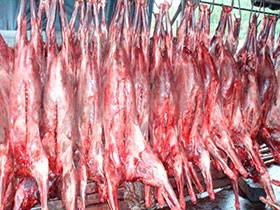  Vente De Viande De Renne, Cerf, Chevreuil... - viandes et oeufs nos produits,   se composent de- --gros gibiers,  petits gibiers,  viandes de sp&eacute;cialit&eacute;,  charcuterie et produits transform&eacute;s.--les gibiers - --le renne (76% de nos volumes &agrave; l'export),  le cerf,  le chevreuil,  le sanglier,  le li&egrave;vre,  le faisan,  la grouse,  le perdreau,  