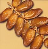  Dattes Saison 2014 Kebili - fruits et légumes jeune tunisien cherche a vendre des grandes quantit&eacute;s de dattes deglet ennour de notre oasis--pour ceux qui sont int&eacute;resses et pour plus d information veuillez me contacte----on vend selon besoin emballage et quantit&eacute;--chez nous la qualit&eacute; est garantie