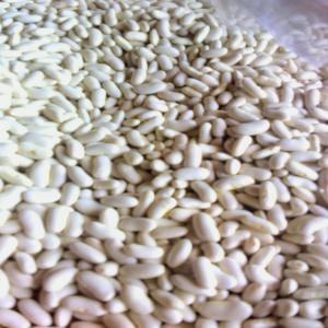  Supplier About Dried Grains - fruits and vegetables we are supplier of different kind of beans from  madagascar,  such as black eyes,  small red bean, white bean, peanut, vanilla, black pepper,  clove, bambara groundnut, coffee, pois de cap, garlic,  cassava, chilli habanero,  if you need one of this product contact us.and let us know your quantity need before bec