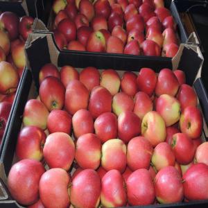  Pomme- Oignon- Pomme De Terre- Viande Halal- Lait - fruits et légumes nous sommes une coopérative fruitière située au centre de la pologne.--nous vous proposons nos pommes de tous calibres confondus au prix unique de--cagette de 13 kg à 0, 33 euro le kg--cartons de 18 kg au prix de 0, 37 euro le kg--palbox de 300 kg au prix de 0, 27 kg sauf po