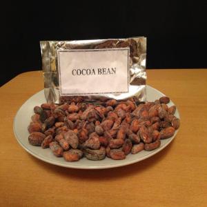  Feves De Cacao Origine Vietnam. - fruits secs et graines grillées feves de cacao----possibilite d'avoir - --- beurre de cacao --- poudre de cacao--- liqueur de cacao----- vente sans restriction de territoire 