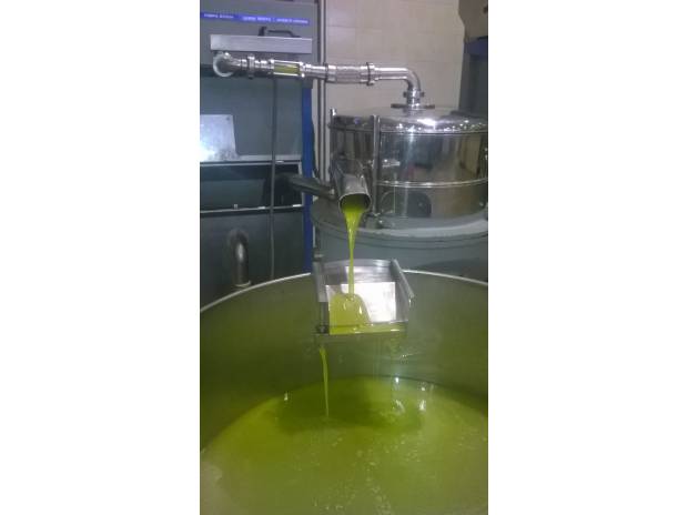  Huile Olive Sud Italy - huiles  je suis un producteur et l'huile en question est vendue san étiquéte.---- la variété est  coratina  plante originaire typique du territoire du sud de l'italie.----je vous parle d'un huile une saveur fruitée avec des notes de 'herbe ou des feuilles et la sensation 