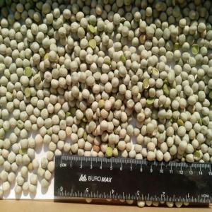  Petits Pois Seches - fruits et légumes nous vous proposons des petits pois s&eacute;ch&eacute;s dans des sacs de 25 ou 50 kgs. quantit&eacute;s disponibles,  contrats annuels possibles. pour d'amples renseignements n h&eacute;sitez pas a nous contacter. 