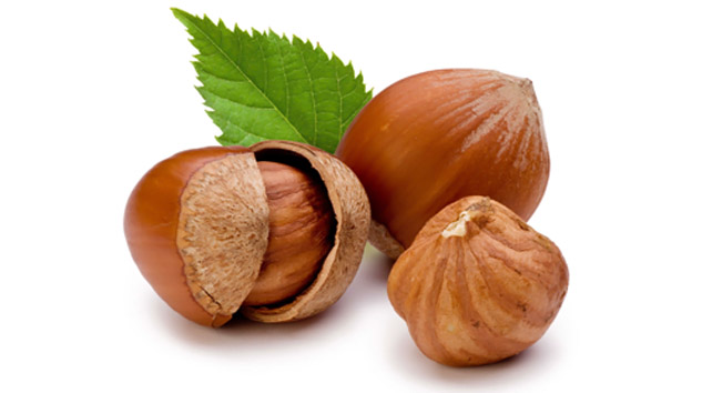  Noisettes Turc - fruits secs et graines grillées vente en gros de tout types,  variétés,  calibres et qualité de noisettes origine turquie. 