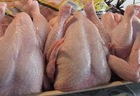  Une Année Entière Poulet Congelé Pour L'exportati - viandes et oeufs caractéristiques----caractéristiques--les morceaux de poulet de haute qualité nos poulet leq quarters sont spécialement main abattus en conséquence pour islamic--caractéristiques----les morceaux de poulet de haute qualité nos poulet leq quarters sont 