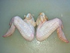  Ailes De Poulet Halal - viandes et oeufs caractéristiques----caractéristiques--les morceaux de poulet de haute qualité nos poulet leq quarters sont spécialement main abattus en conséquence pour islamic--caractéristiques----les morceaux de poulet de haute qualité nos poulet leq quarters sont 
