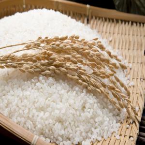  Sécheuse De Céréale. - céréales pour le traitement et séchage du céréale,  nous sommes producteur de tout machines production aliments et de traitement et séchage du riz. cordialement.