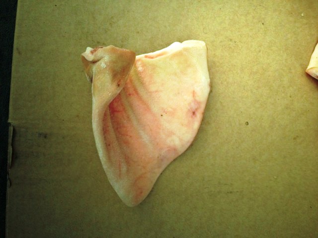  Oreilles De Porc - viandes et oeufs oreilles de porc----prix cif abidjan----vente aux pays etranger----origine bresil----produits frais expiration 18 mois----emballage - en cartons de 10 kgs ----quantite- 200 mt----prix pour toute la stock abordable