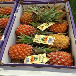  Ananas Victoria, Cayenne Lisse, Pain De Sucre... - fruits et légumes ananas victoria,  cayenne lisse,  pain de sucre (avion et bateau)----nous disposons de grandes quantités de fruits frais - ananas (avion et bateau).--nous ne faisons que des produits de qualité.----l’ananas s’utilise aussi bien dans des plats sucrés que salés - salades de f