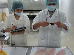  Poissons Congelé Surgelé Inspection Services - poissons entreprise sp&eacute;cialis&eacute;e dans le contr&ocirc;le qualit&eacute; des poissons et produits de la mer provenant du vietnam.------totalement ind&eacute;pendant et compos&eacute; d'&eacute;quipes internationales,  nous offrons &eacute;galement &agrave; nos clients r&eacute;guliers nos services 