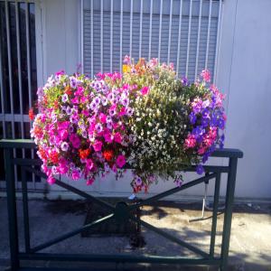  Engrais Foliaire Et Biostimulant - chimie additif engrais nous vendons un engrais organique liquide 100 % naturel issu du lombricompostage de fumier de cheval. produit utilisable en agriculture biologique en application du rce n 834/2007 verifie par ecocert; engrais foliaire avec 23 composants (matieres organiques-n, no3, nh4, p2o5, p, po4, k2o, k, mg, mgo, ca, cao, c