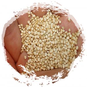  Quinoa Conventionnel Bio Origine Pérou Vendre - semence graine plant bonjour, ----aux côtés de partenaires agriculteurs péruviens,  nous vous proposons du quinoa blanc conventionnel et biologique à un prix compétitif mais également répondant aux exigences de qualité les plus élevées.--nous avons d&eac