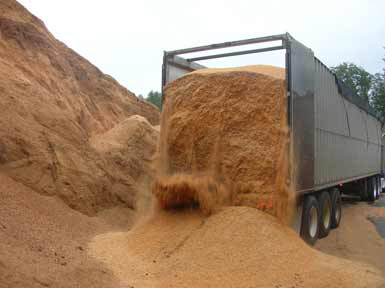  Sciure Résineux Et Feuillus - bois charbon fibre nous pouvons proposer approvisionnement de sciure et copeaux  vert  ou sec sur demande pour pellets et bûches densifiées,  litière animale ou autre----transport à votre charge en vrac nous pouvons charger les camions--nous pouvons mettre à disposition de la sciure da