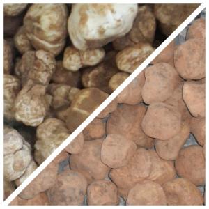  Truffes Ou Terfas - fruits et légumes fournisseur de truffes marocaines blanches et rouges (zbidi)du sahara a partir de fin février, --possibilité de mettre en boîte de conserve de 400gr pour la rouge.