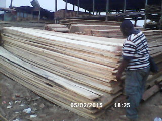 exploitation forestiere  - Industrie exploitation salut a tout le monde je suis africain camerounais je recherche des partenaires pour faire dans le bois export --il ya des hectares de forets jamais exploité dans l, est et le sud du pays --pour plus de conviction --