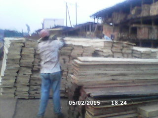  Exploitation Forestière - bois charbon fibre salut je suis à la recherche des partenaires ou clients pour l, exploitation du bois en afrique (cameroun)--nous avions des forets dans l, est et le sud du pays jamais exploité -- 
