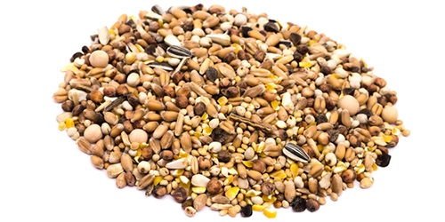  Bird, Poultry, And Animal Feeds - feed we source,  trade and export the highest quality bird,  poultry,  and animal feeds worldwide,  including alfalfa,  canary seeds,  corn,  cracked corn,  maple and austrian winter peas,  millet,  soybean meal,  sunflower seeds,  oats.----we are directly working with world’s top agricultural producers to fulfill a