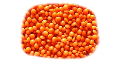  Red Football Lentils - féculents decorticated whole red lentils,  also known as “footballs”,  are made from the whole red lentil. the skin is removed from the lentil,  leaving the inside portion of the seed whole (not split). the result is a beautiful intact,  reddish-orange polished product.--we mainly offer red lentils from canada an