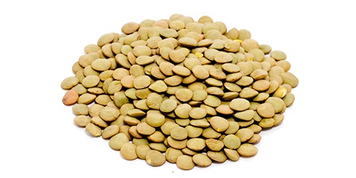  Laird Green Lentils - starchy lentil colors range from yellow to red-orange to green,  brown and black. lentils also vary in size,  and are sold in many forms,  with or without the skins,  whole or split. we source,  trade and export the highest quality lentils laird worldwide. we are directly working with world’s top agricultural pr