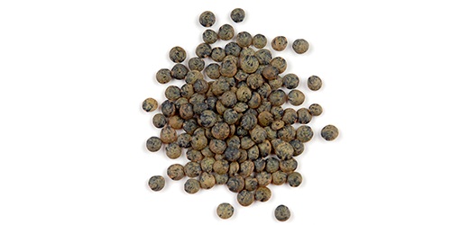  French Green Lentils - starchy french green lentils are very popular in food industries throughout the world. we source whole and split varieties depending on your needs. we source,  trade and export the highest quality french green lentils worldwide. we are directly working with world s top agricultural producers to fulfill all y