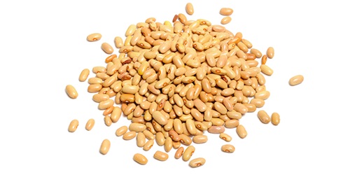  Haricots - féculents provenant principalement du canada,  les haricots sont présents dans une variété de couleurs et de types. nous travaillons directement avec les meilleurs producteurs agricoles du monde entier pour répondre à vos besoins à des prix compétitifs. nous som