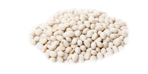 White Beans - starchy white beans are particularly popular in the united kingdom and the united states. other white beans include cannellini,  a popular variety in central and southern italy,  which is related to the kidney bean. we source,  trade and export the highest quality white beans worldwide. we are directly working