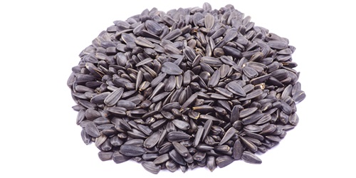  Sunflower Seeds - cereals sunflower seeds are used as both a bird seed,  and for human consumption. they may also be pressed to extract their valuable oil. we source,  trade and export the highest quality sunflower seeds worldwide. we are directly working with world s top agricultural producers to fulfill all your requirements