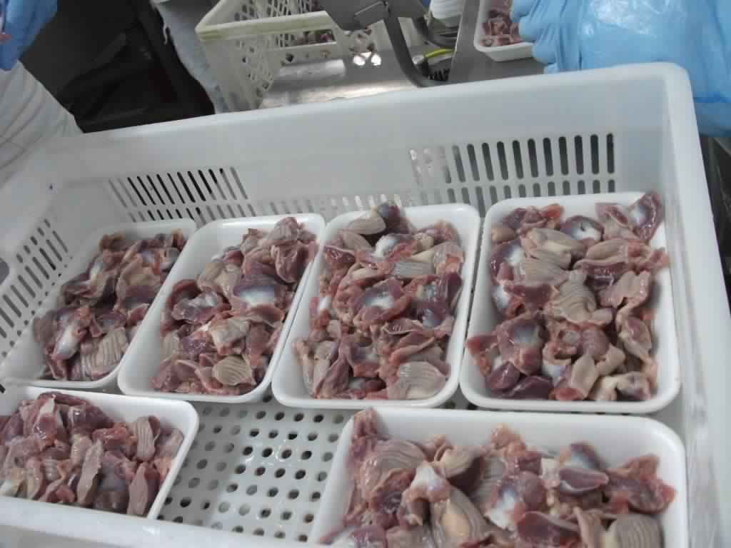  Volailles Frais Et Surgele - viandes et oeufs nous somme ste tunisienne du volailles poulet et dindes--vents frais et surgele--on cherche des marches d`export serieux--merci