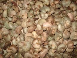  Graine D'anacarde Du Burkina Faso - fruits secs et graines grillées bonjour à tous,  nous disposons d'une grande quantité d'anacarde pour cette saison. nous vous attendons pour faire affaire. merci.